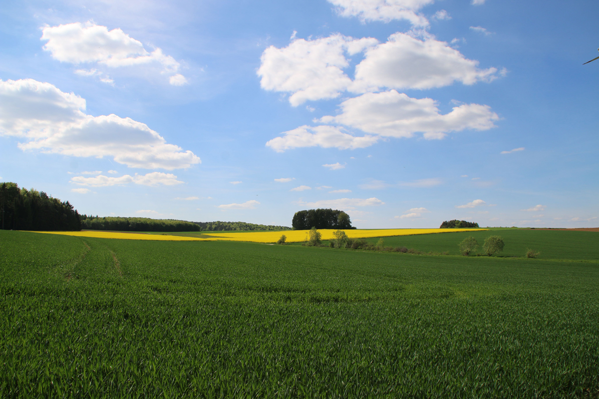 pano-frühling.jpg