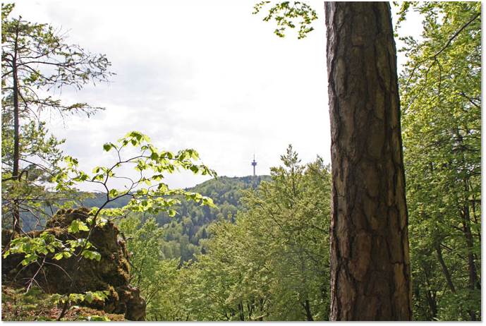 roter Querstrich Aussicht.jpg