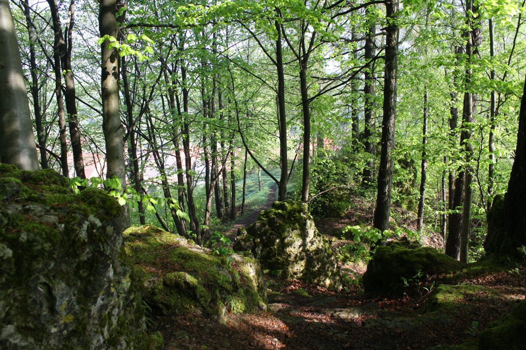 IMG_Eibgrat-1.jpg (1)