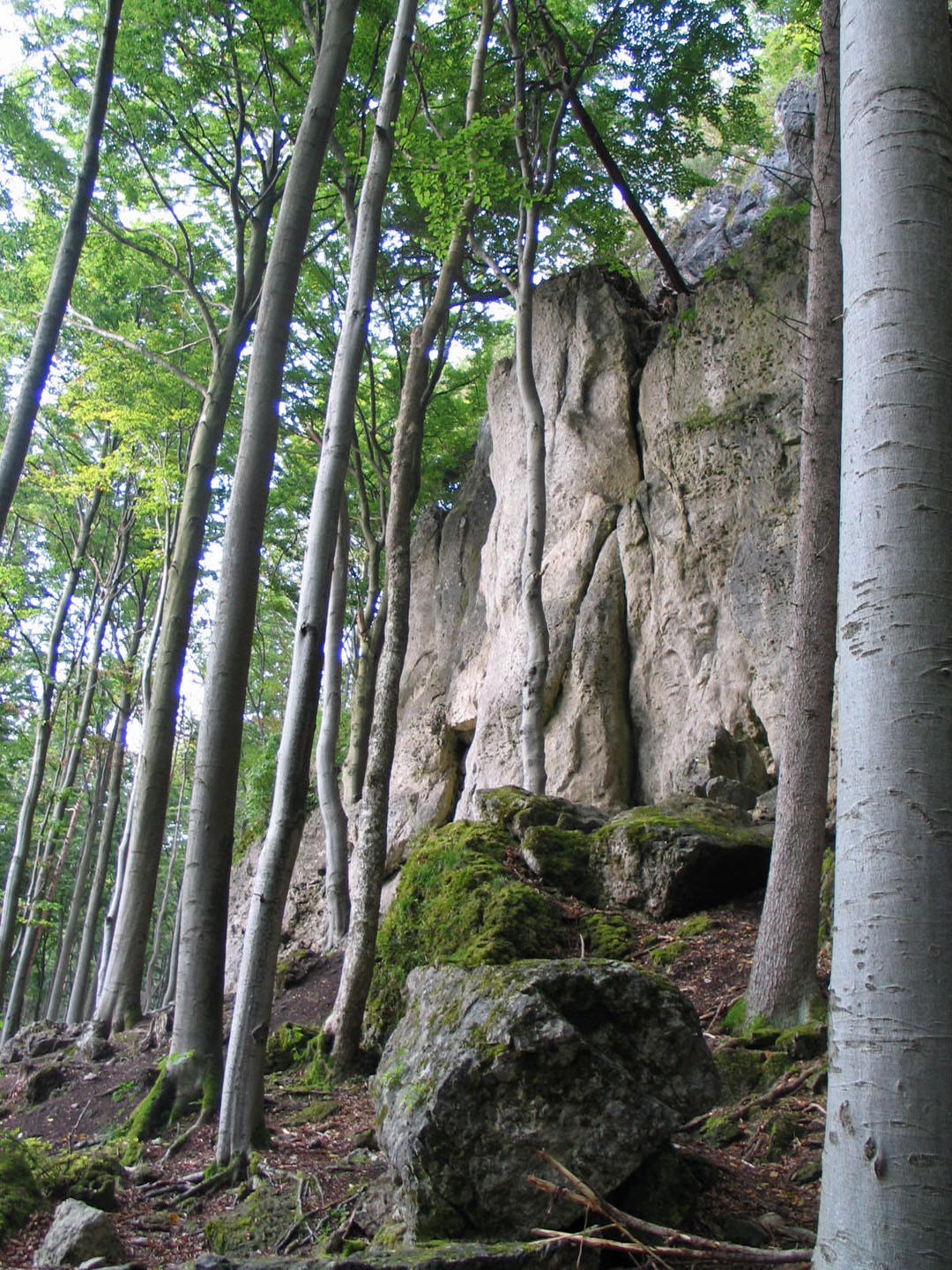 IMG_Felsen Stierberg2.jpg