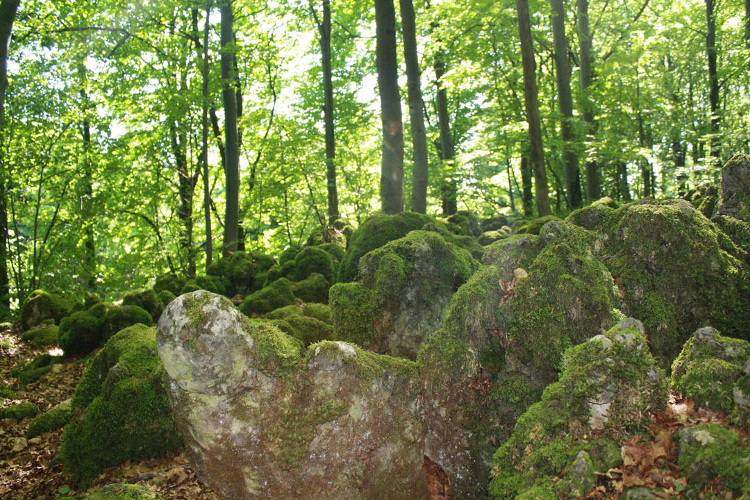 IMG_eibgrat2149.jpg