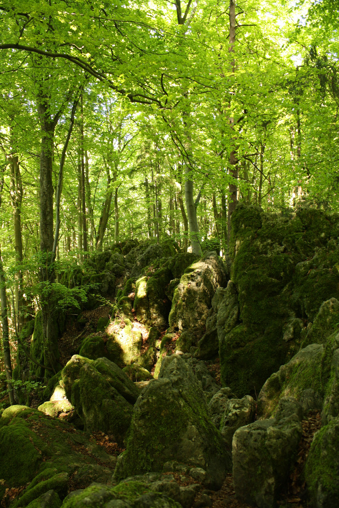 IMG_eibgrat2166.jpg