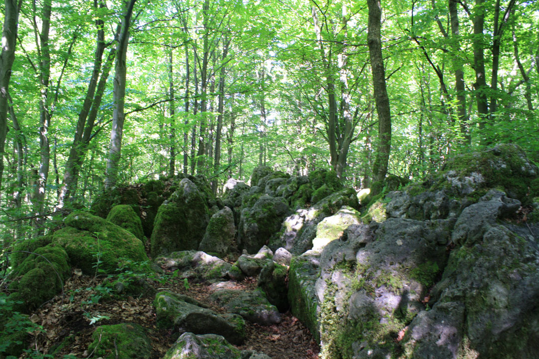 IMG_eibgrat2176.jpg