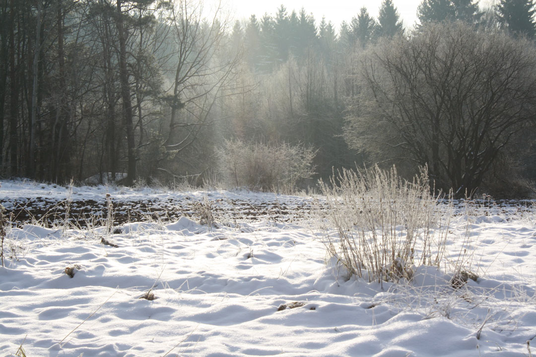 IMG_Winter-Streuobstweg.jpg