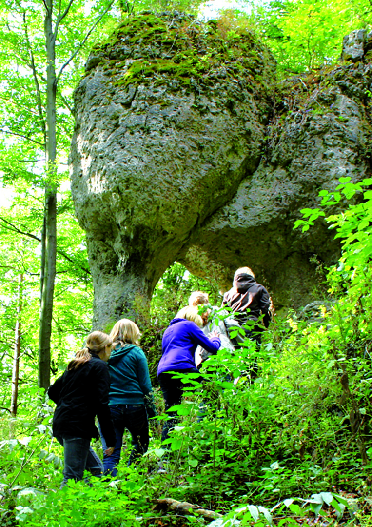  Schwamm drüber – Entstehungsgeschichtliche Einblicke in das Jurariff „Langer Berg bei Stierberg mit der Gemsenwand und dem Juraelefanten.