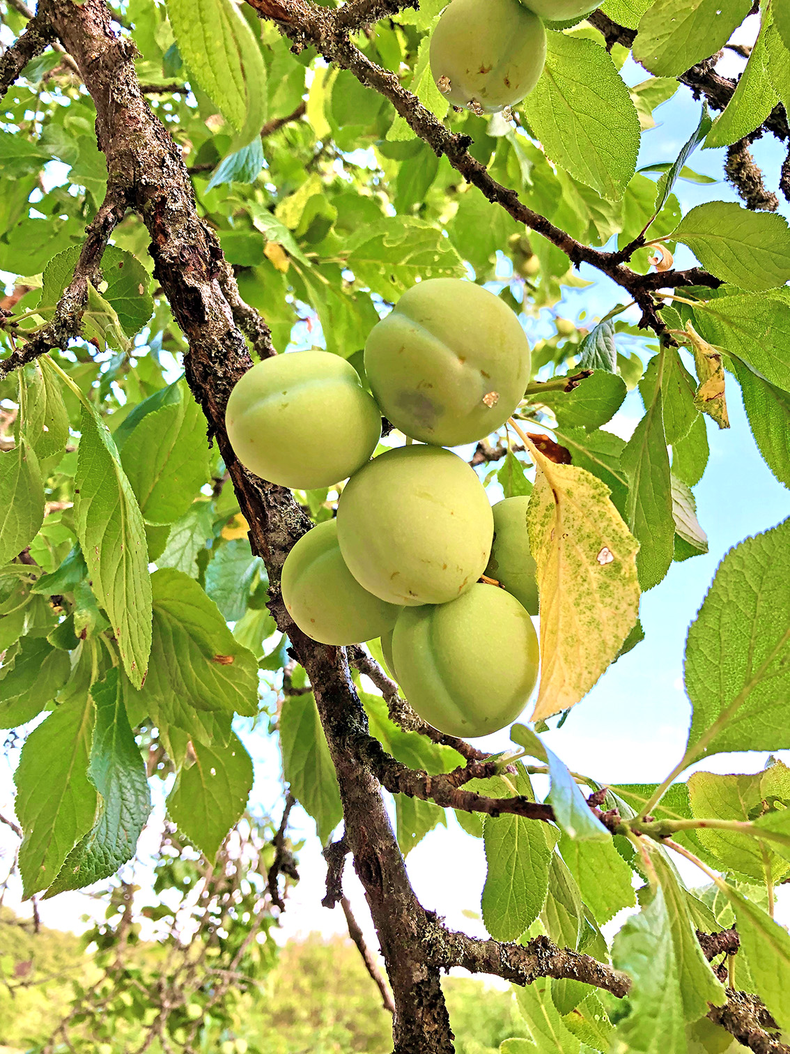 Betzenstein Stadt Betzenstein